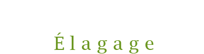 Haccouch Élagage Abattage Jardin Pertuis